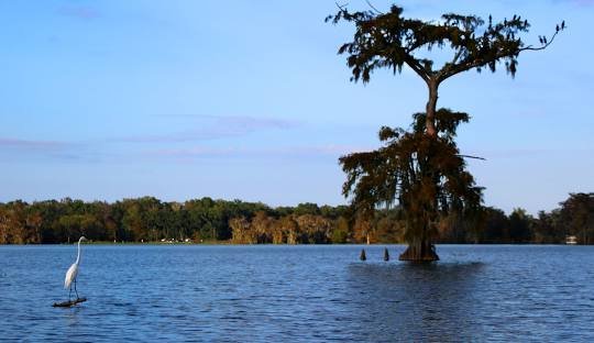 Enjoy Lake Martin